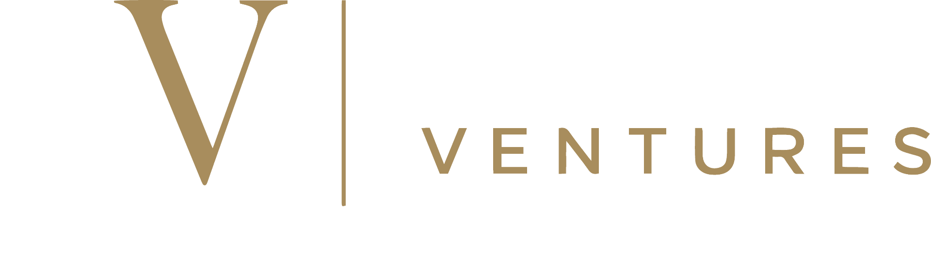 Executive Ventures